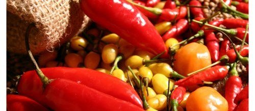 Gestantes não podem comer pimenta: mito ou verdade?