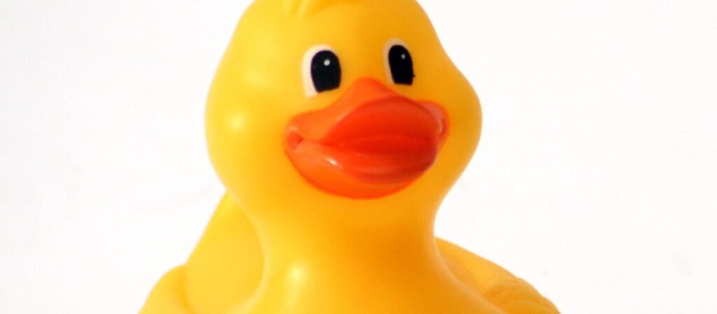 Recém-nascido precisa tomar banho todos os dias?