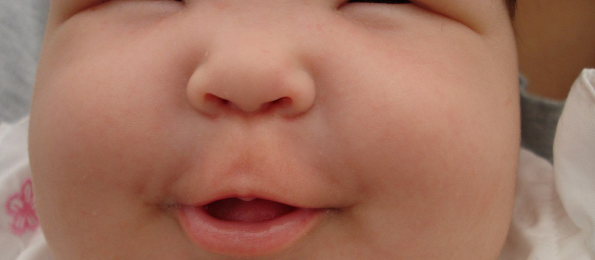 Mães sempre acreditam que o bebê não está se alimentando corretamente: mito ou verdade?
