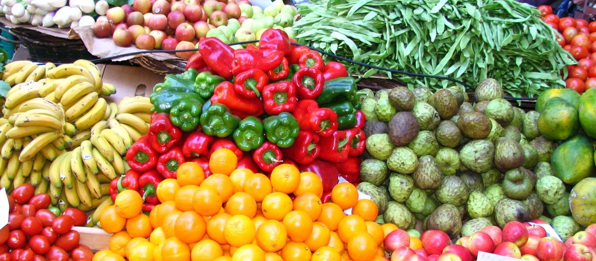 É verdade que a boa alimentação garante tudo o que a gestante precisa?