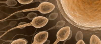 Congelamento de Óvulos: garantindo o sonho das futuras mamães