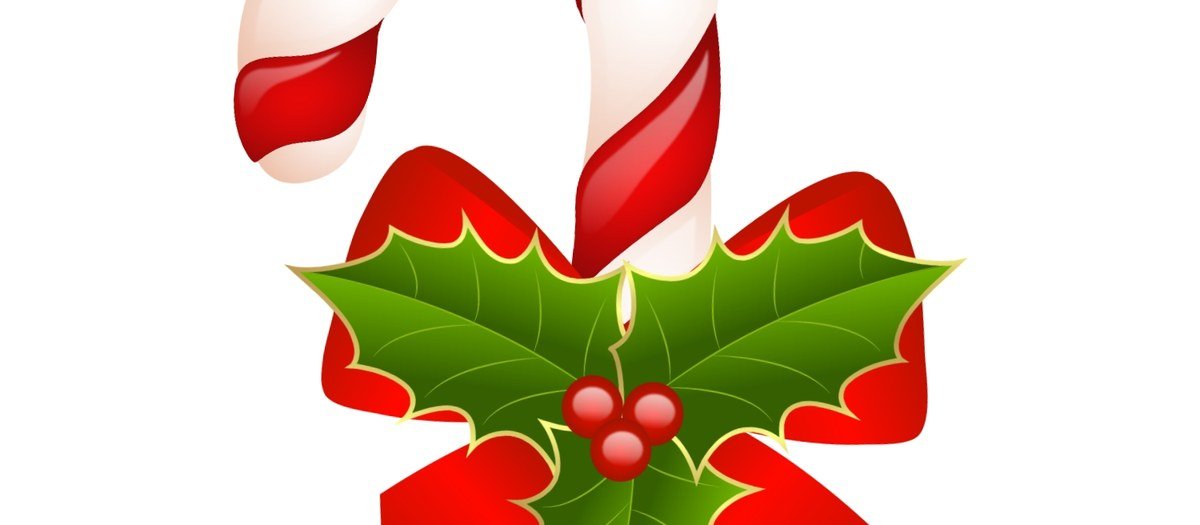 Natal: a renovação da vida