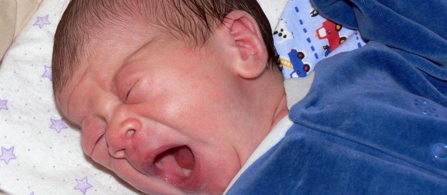 Chá alivia a cólica do bebê: mito ou verdade?