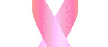 Outubro Rosa: gestante não pode fazer mamografia – mito ou verdade?
